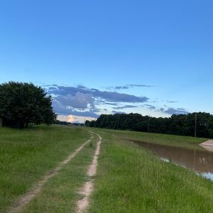 Meet your Posher, Zeynep